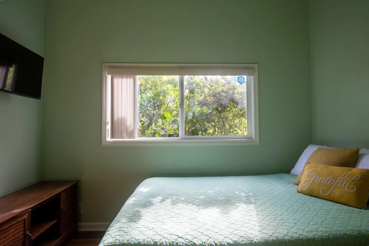 Vakantiehuis Hale Honu home Keaau Verenigde Staten