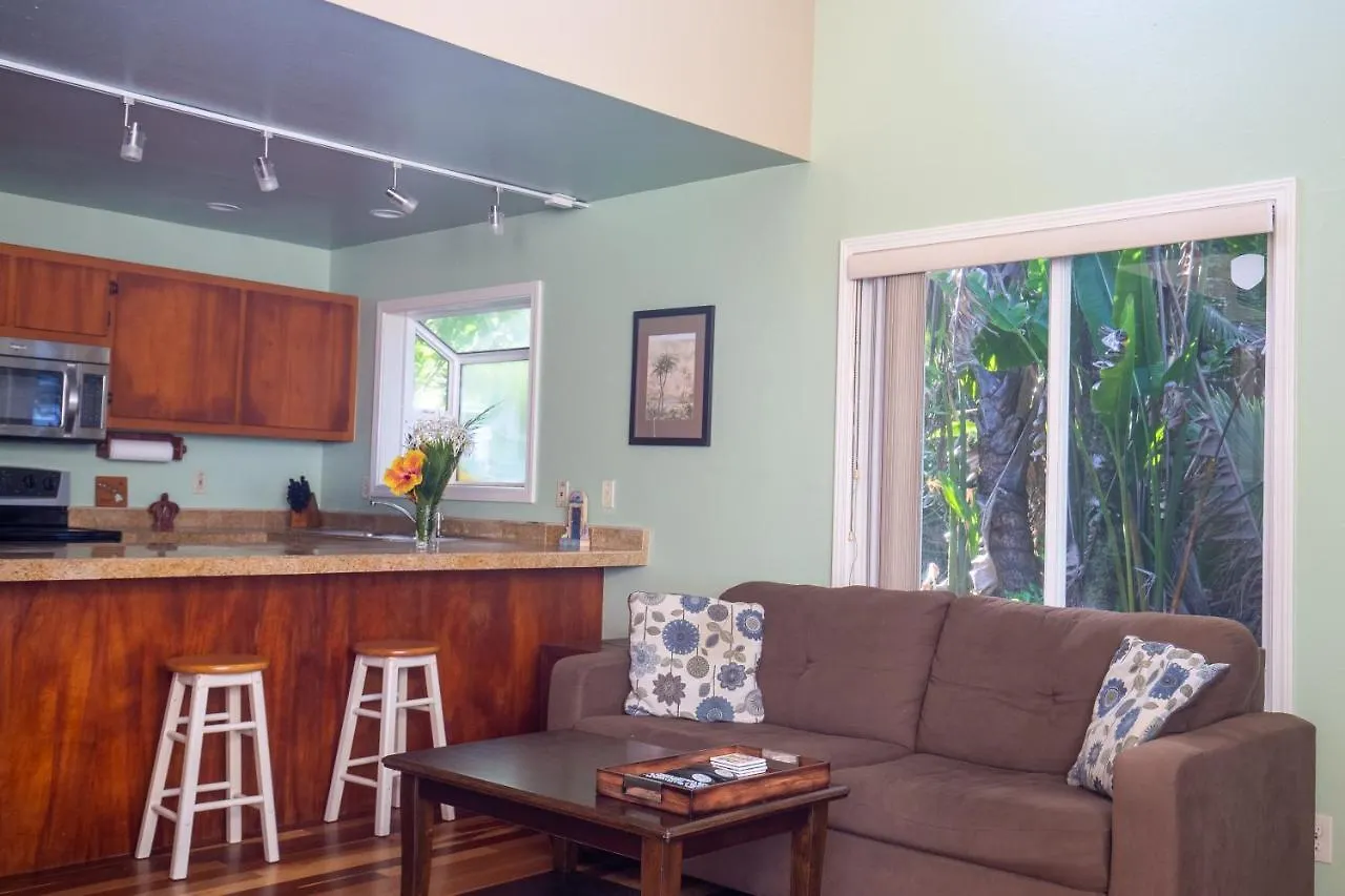 Hale Honu home Keaau Vakantiehuis