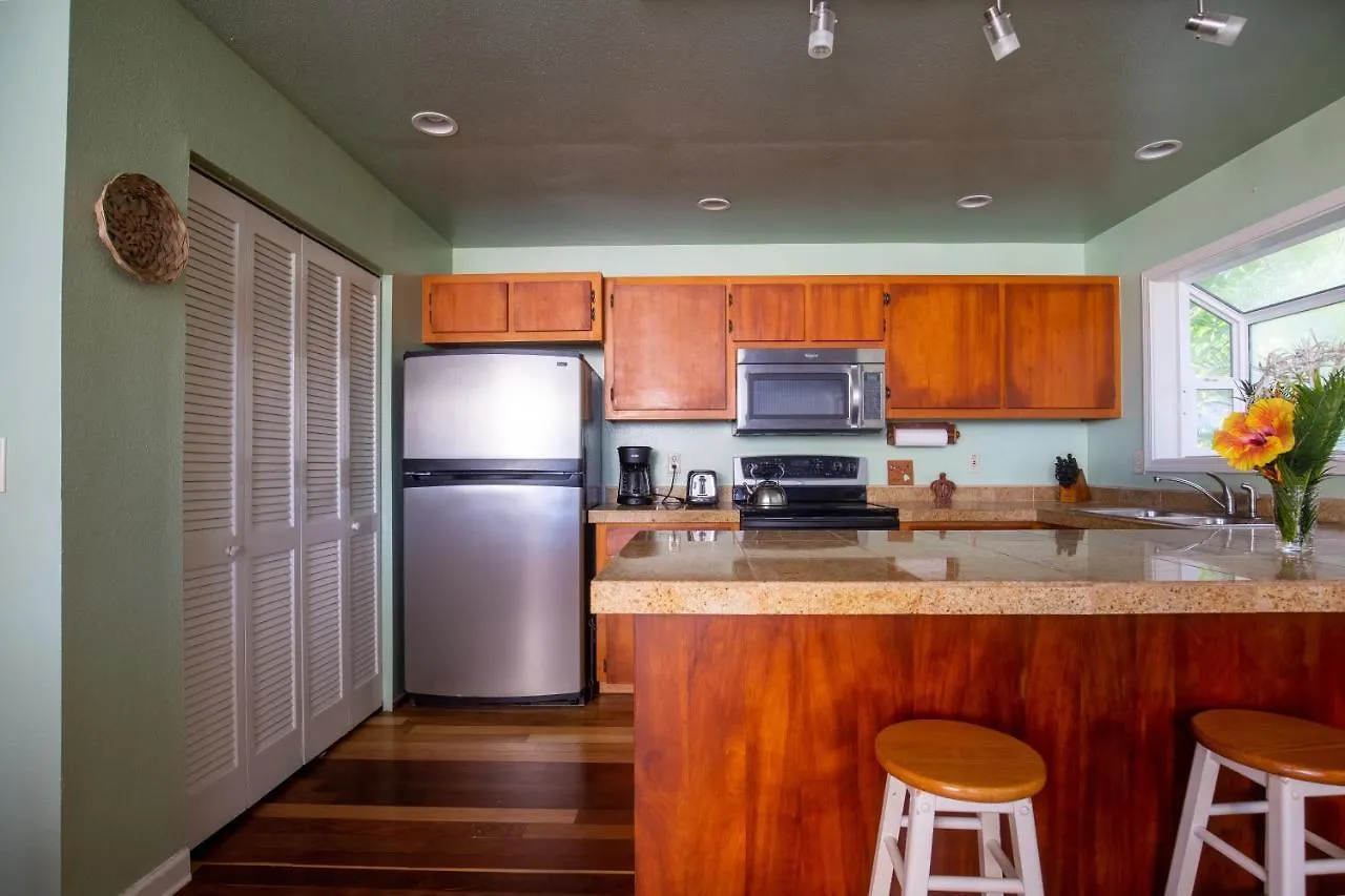 Hale Honu home Keaau